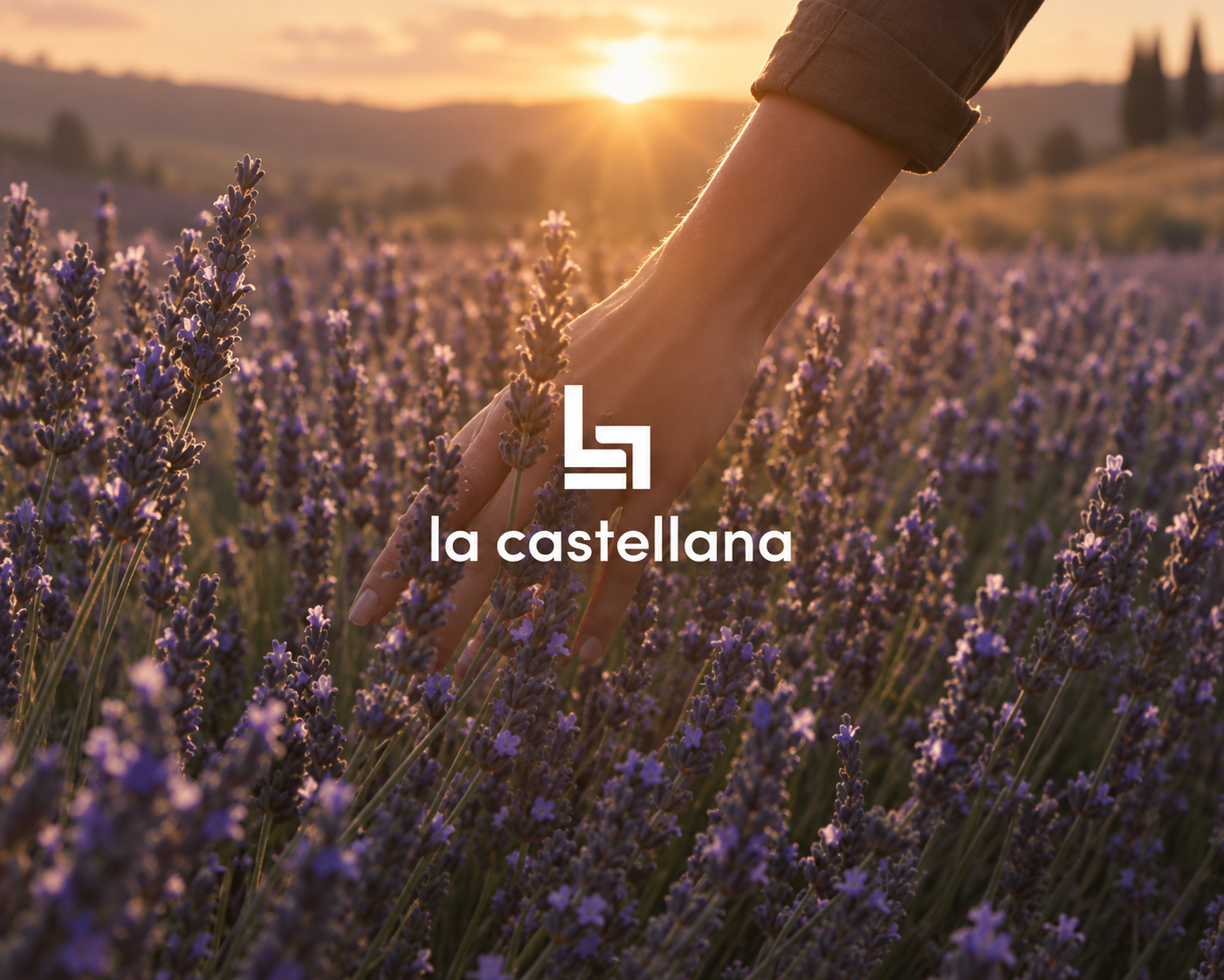 Scheda per richiedere un preventivo di una poltrona alzapersona con catalogo e campioni di rivestimento